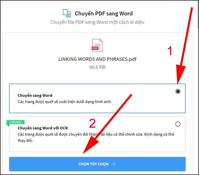 chọn chế độ chuyển đổi pdf sang word